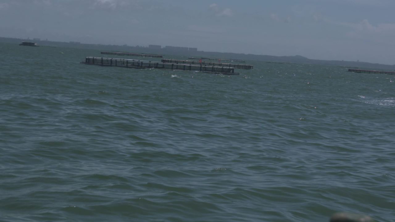 海洋牧场深海养殖