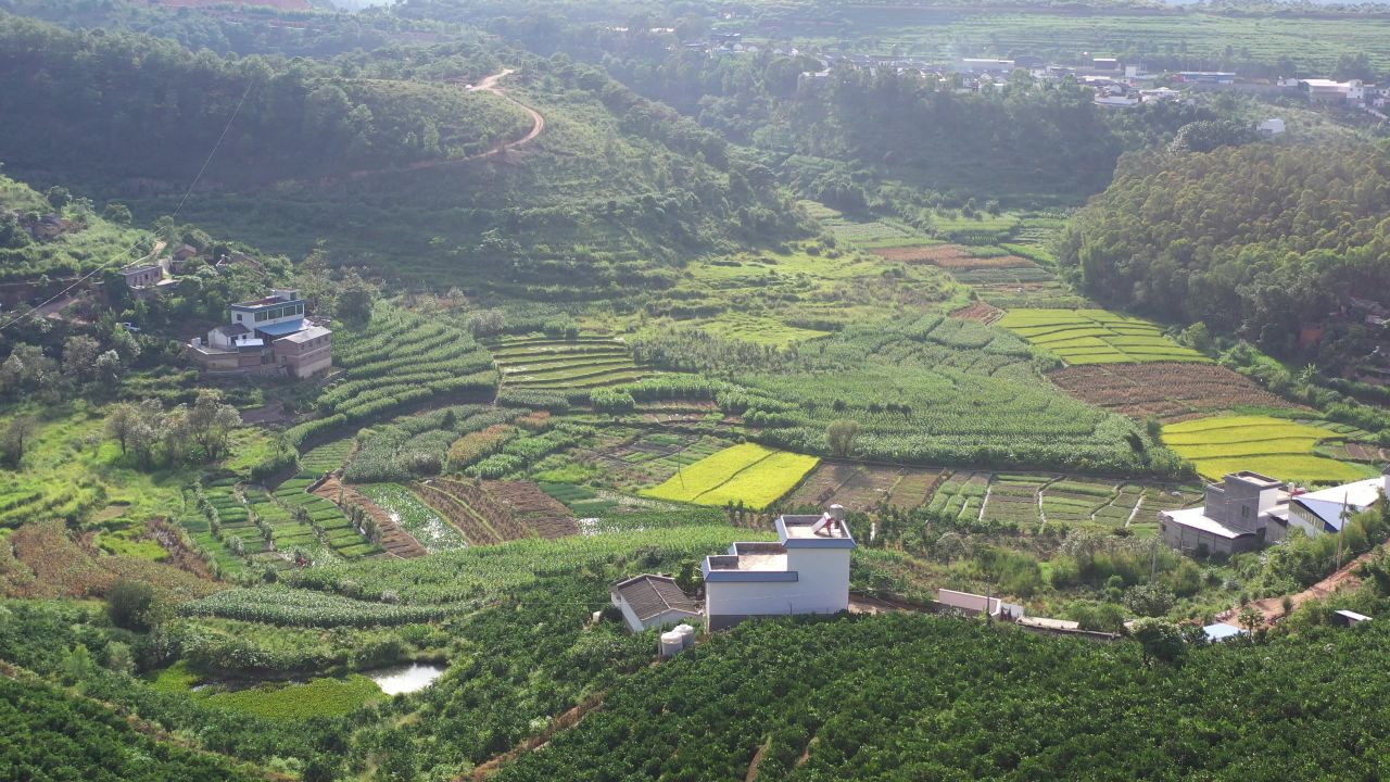 橘子园