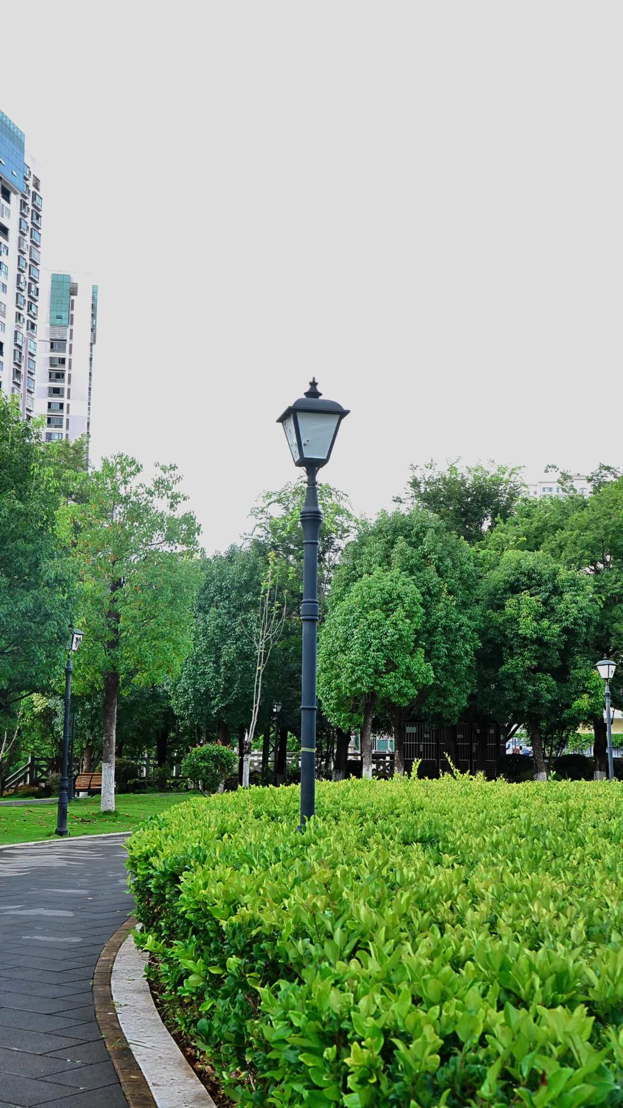 都市中的绿色角落