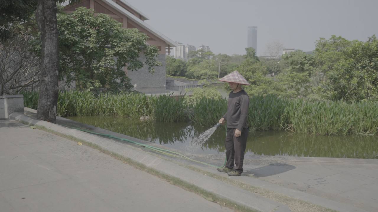 青秀山 7