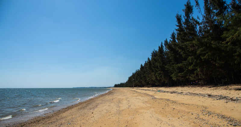 海岸