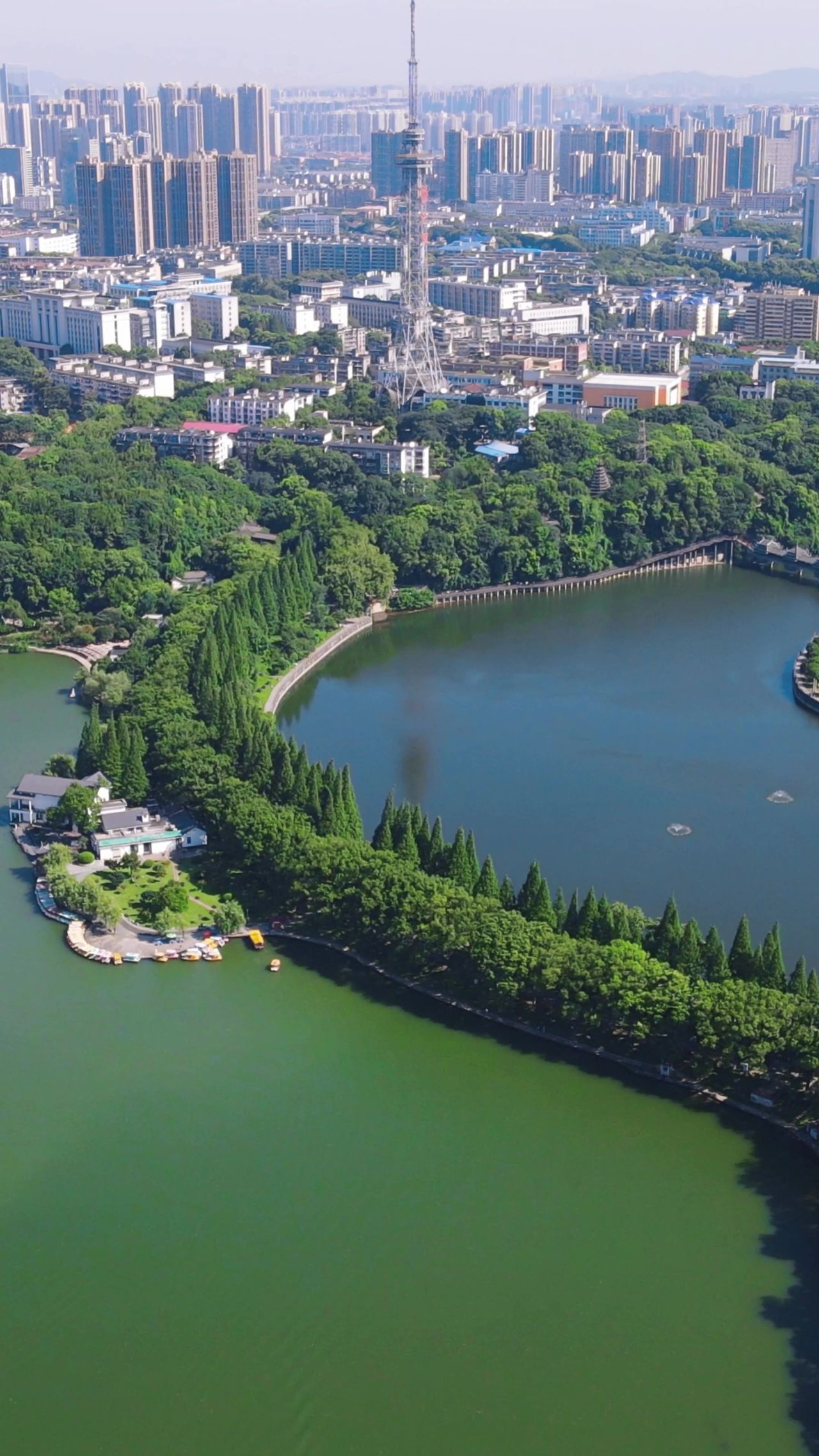 城市沿河绿化植物竖屏航拍