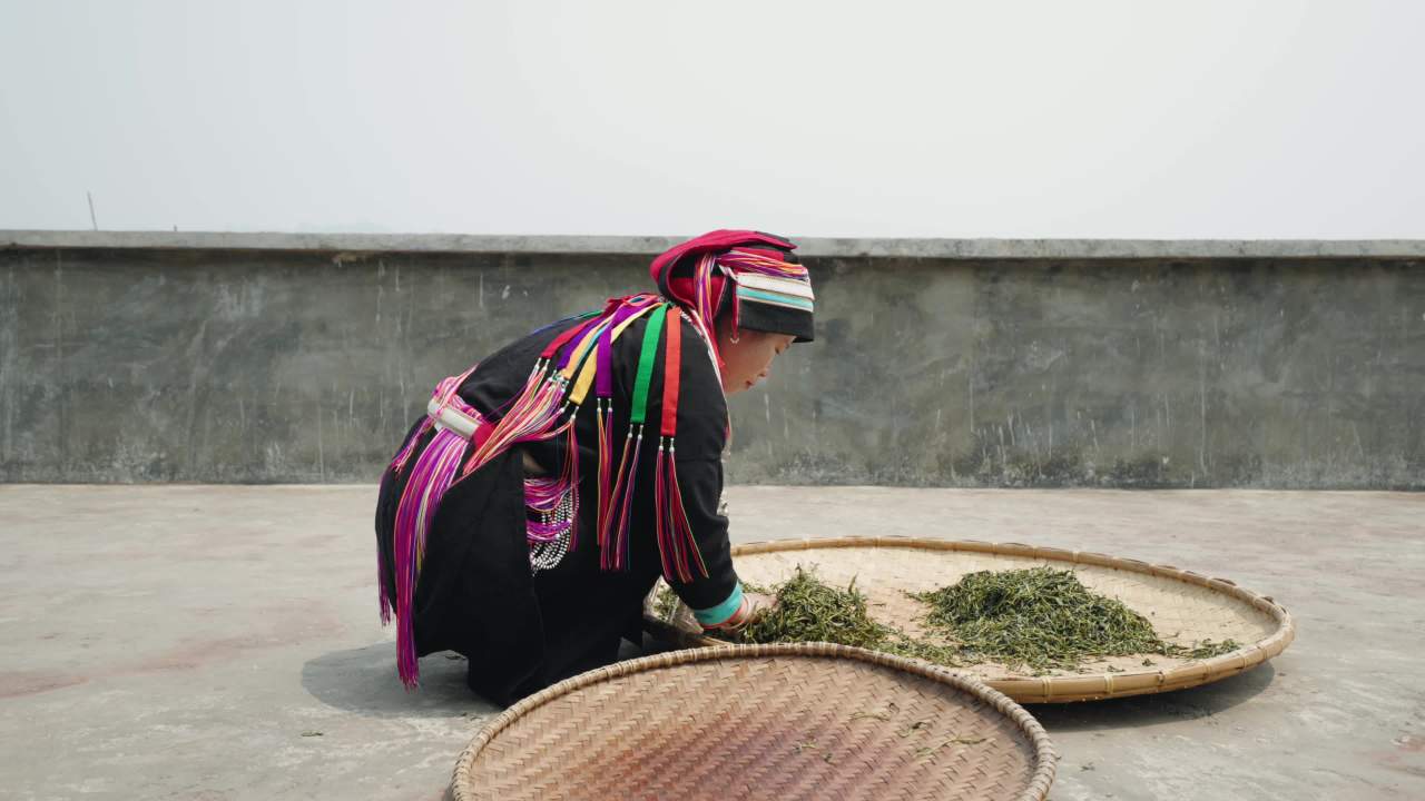 传统茶叶加工