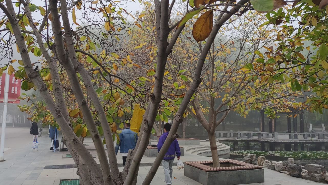 大学 保定 30