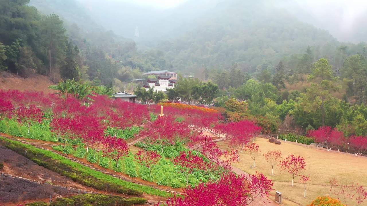 乳源云门山桃花及上山索道