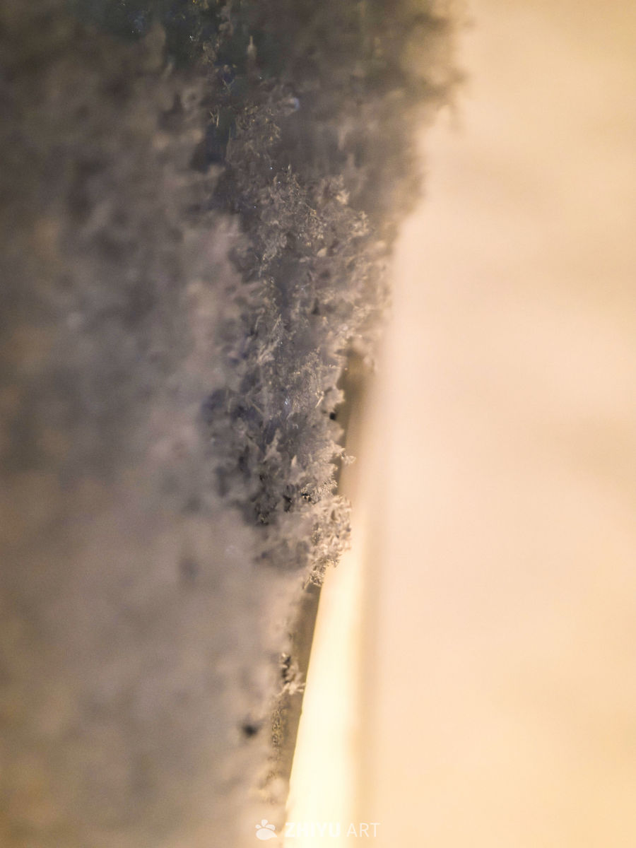 灰尘的微观世界