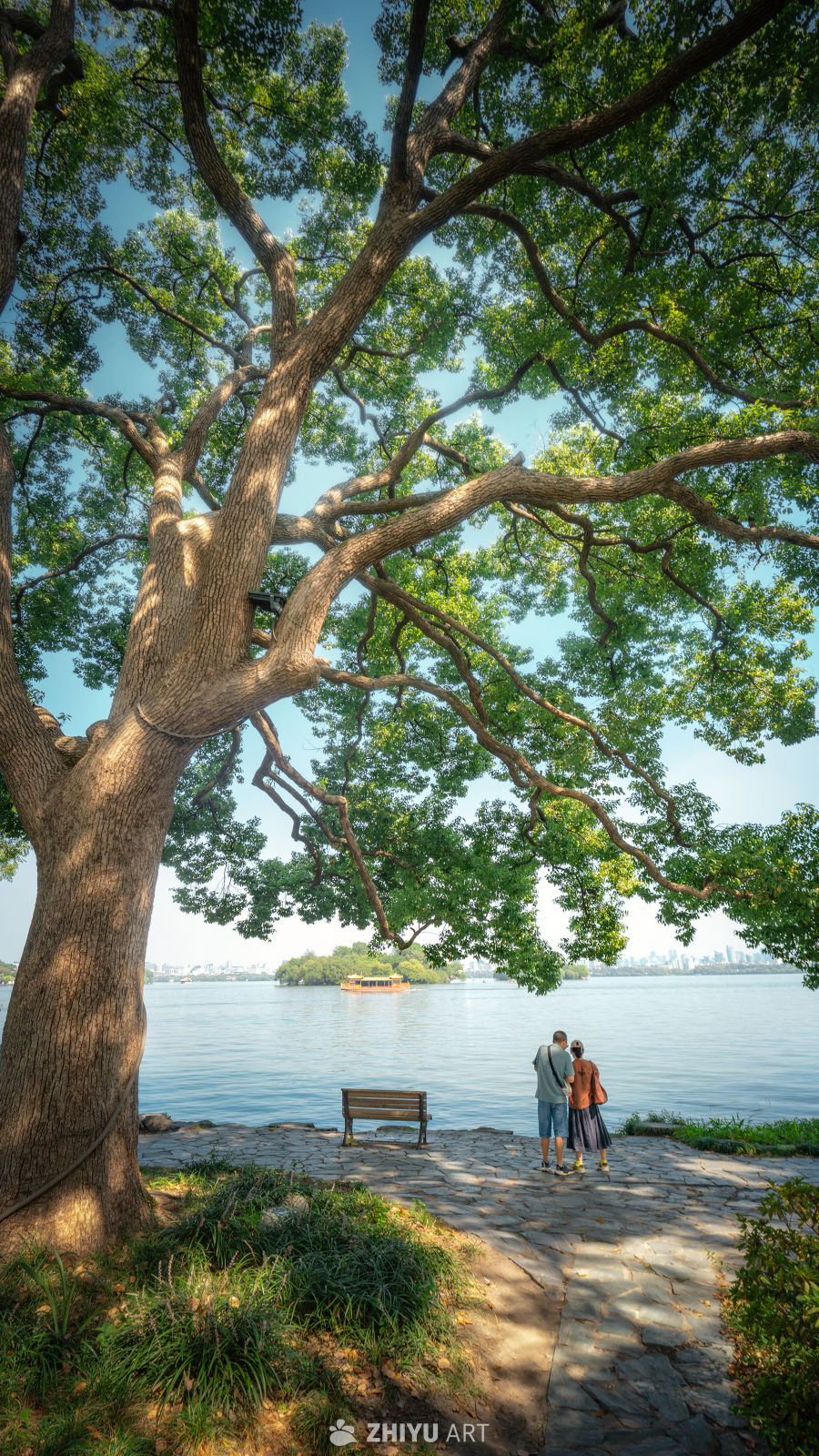 树是另外一种海