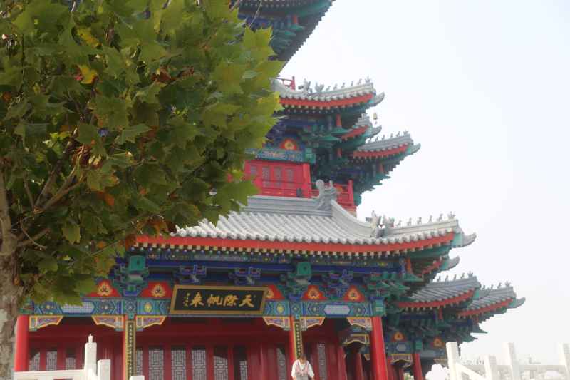 沧州扫街 16