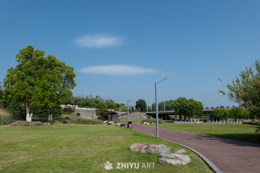 湿地公园一角 2