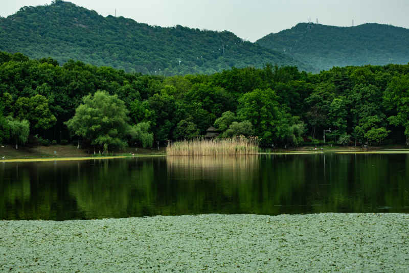 琵琶湖