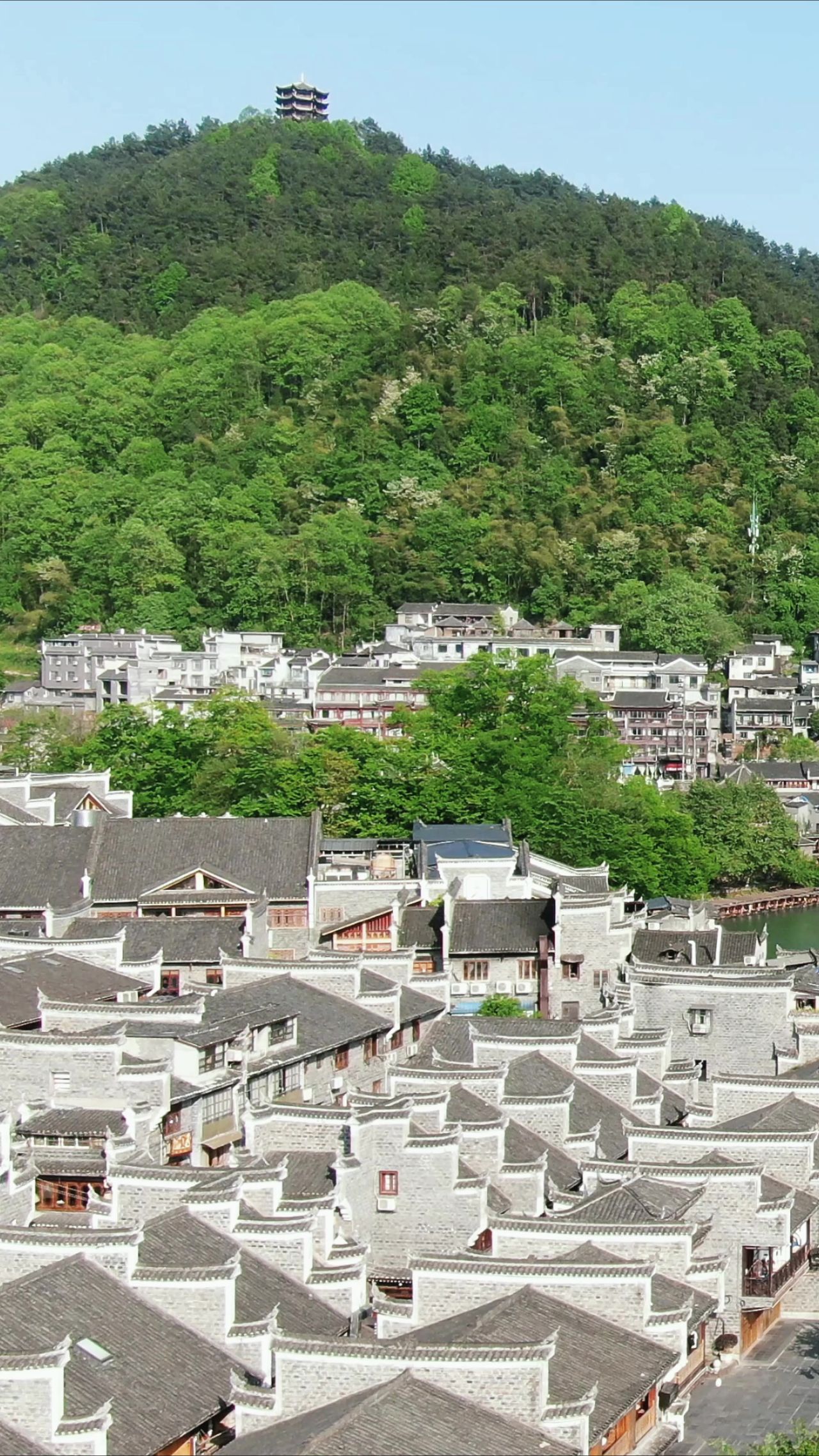 湖南湘西凤凰古城竖屏航拍