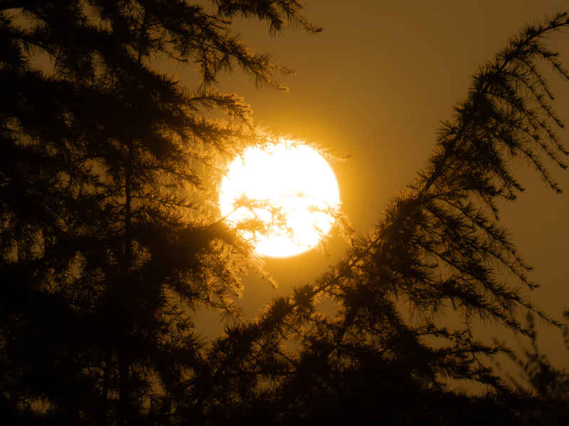 夕阳