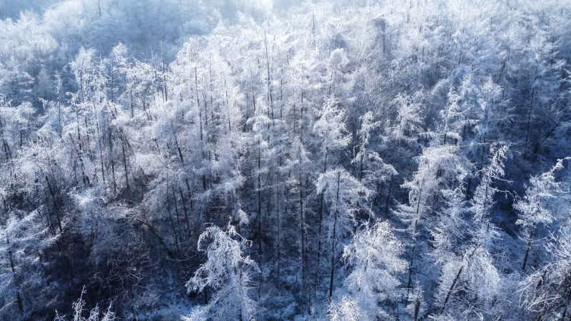 老君山雪淞