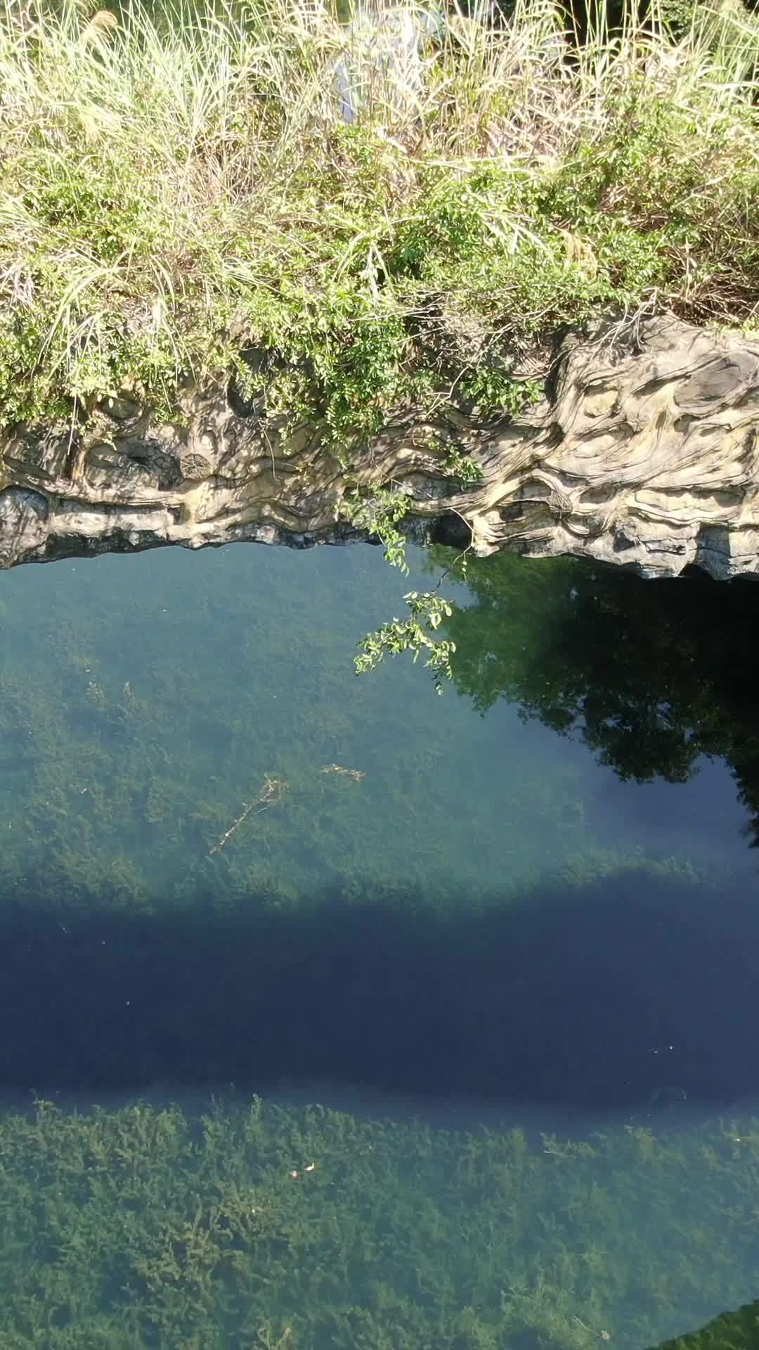静谧的自然池塘