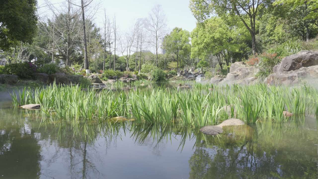 湖畔静谧时光