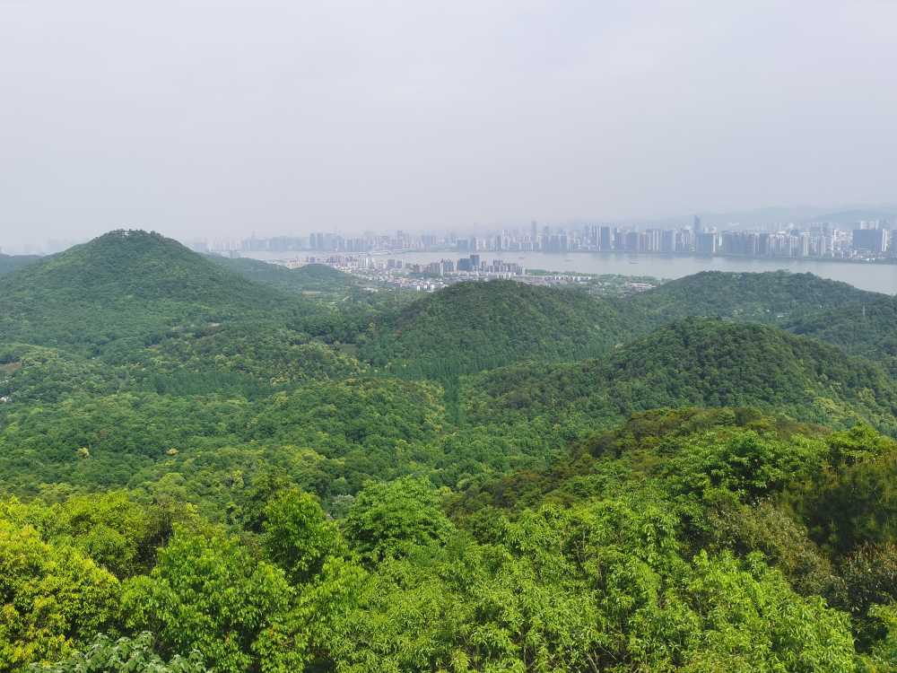 虎跑公园后山