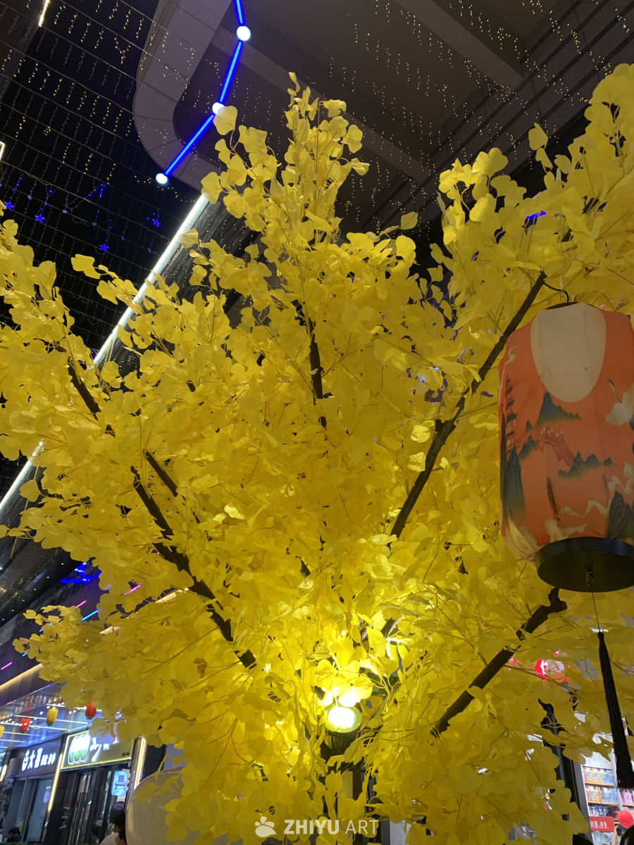 日常随手一拍。