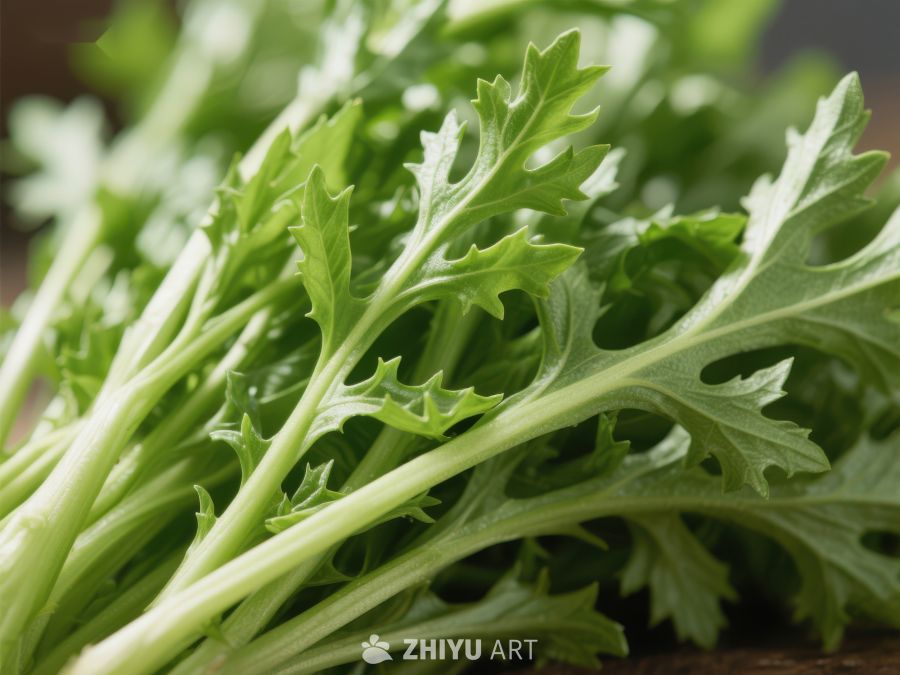 新鲜绿叶蔬菜特写 477