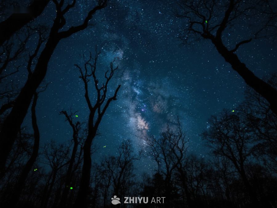 夜空银河与树影交织的美景 448