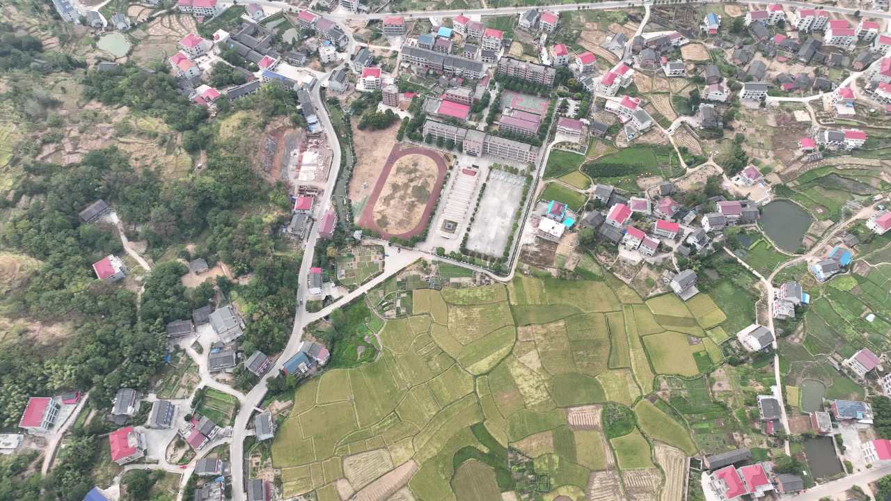 小学 8