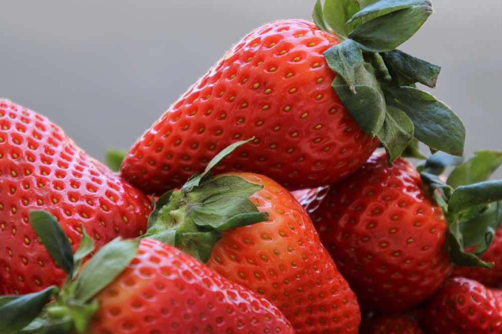 水果草莓生物新鲜