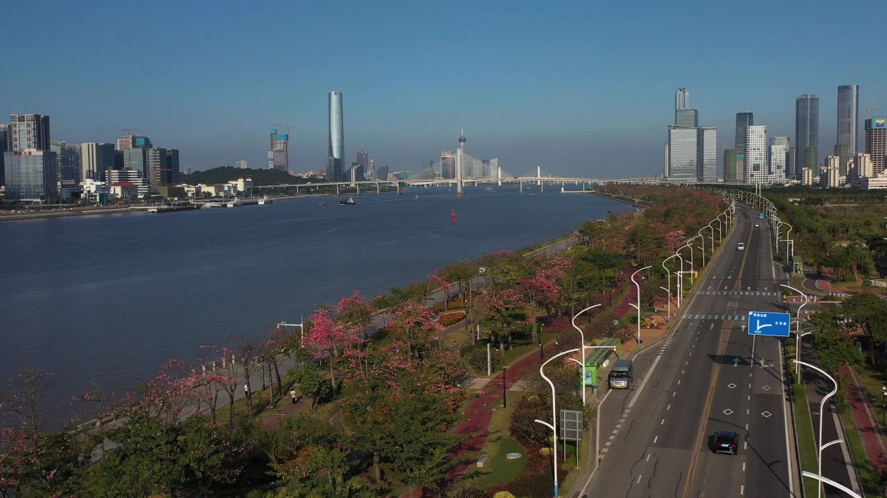 横琴花海长廊 8