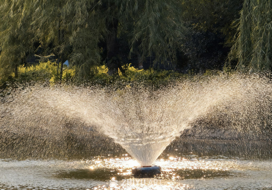 阳光下的喷泉美景