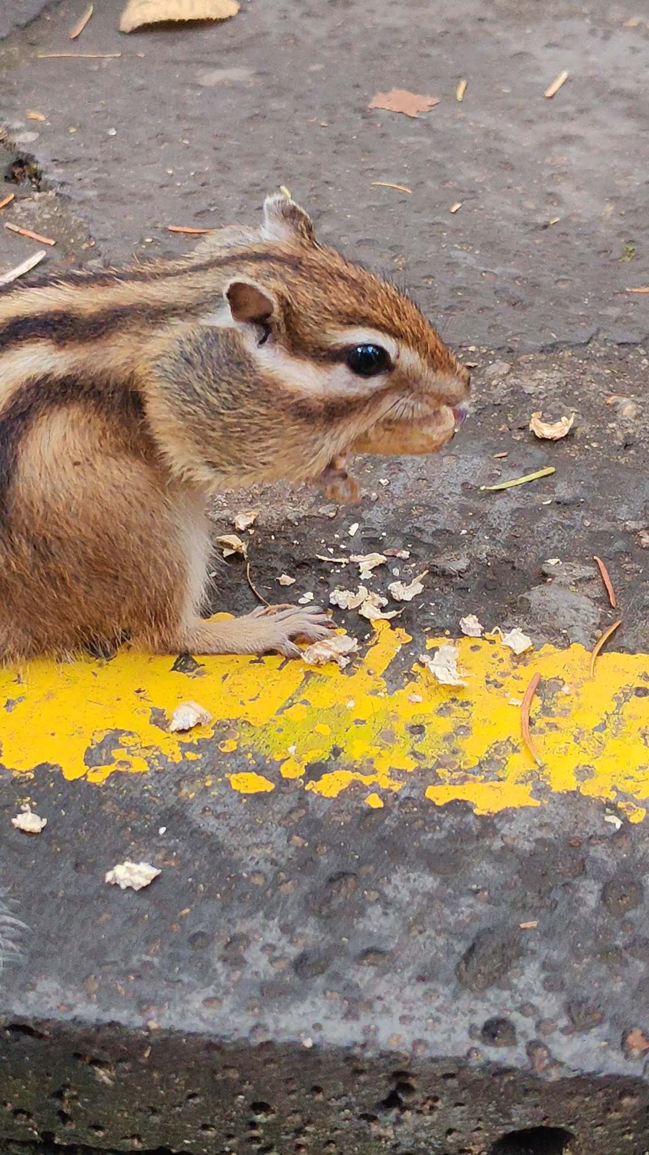 VID_20250926_143931 5