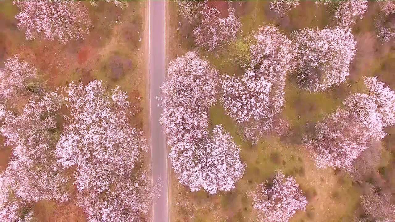 航拍西藏林芝