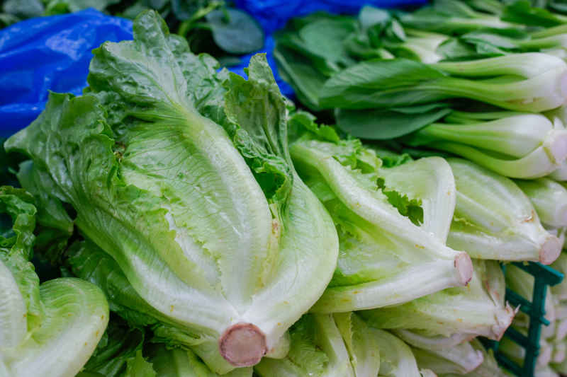 菜场的蔬菜 8