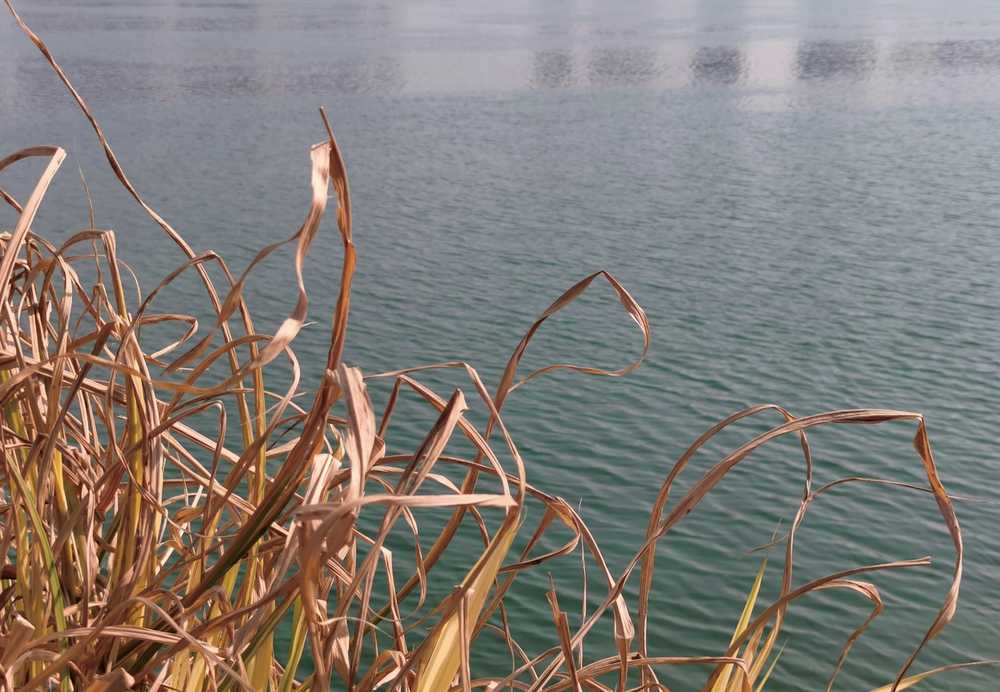 湖边