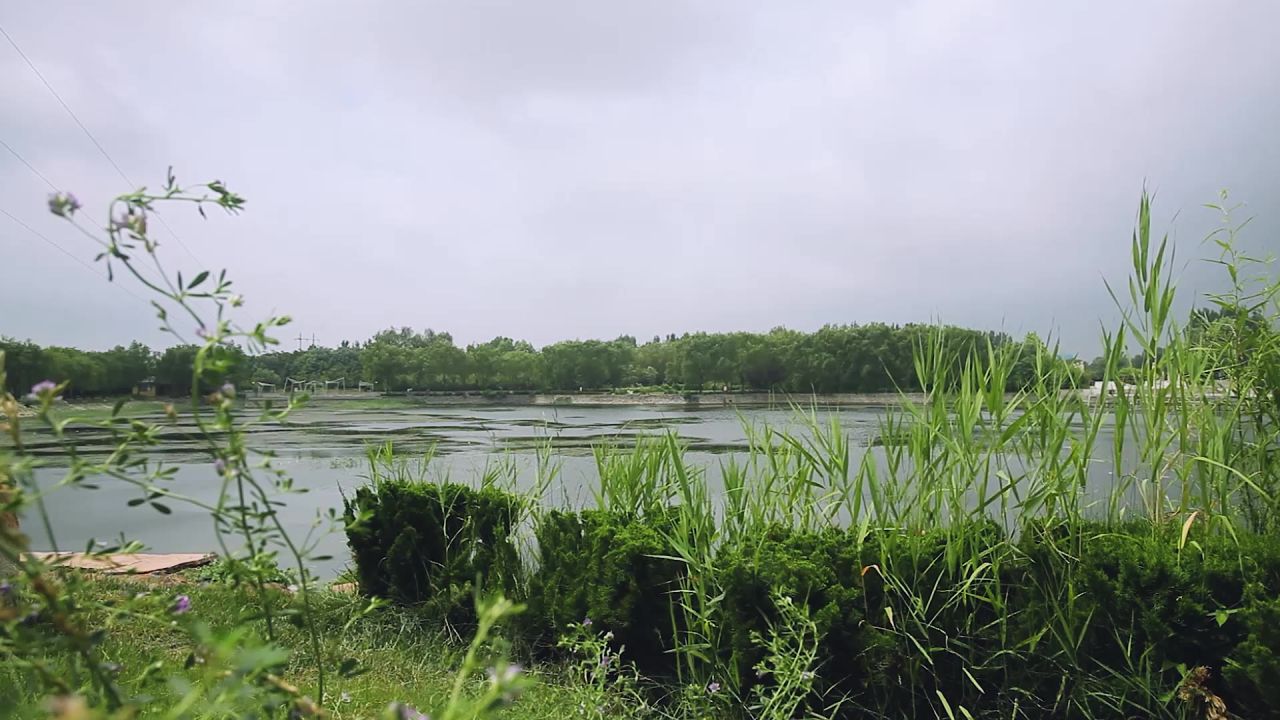 公园湖畔风光景观