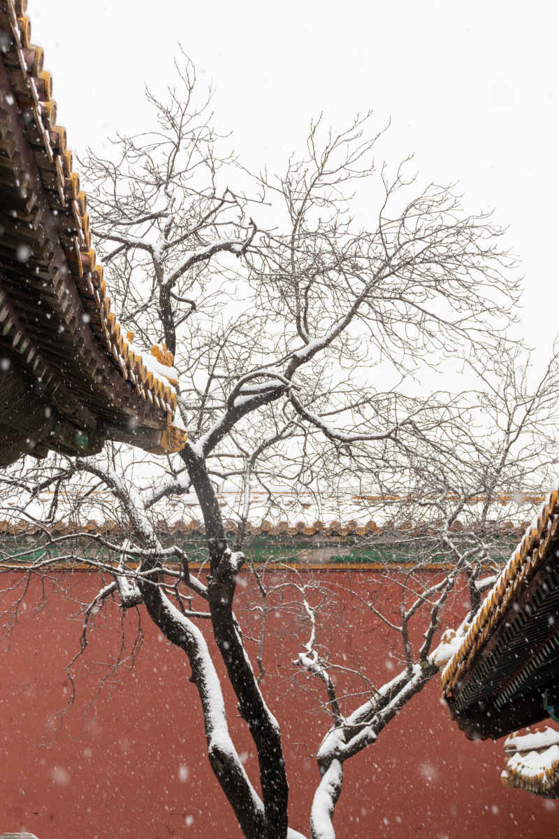 雪中故宫·13