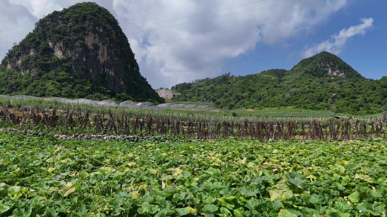 田园风光与山峦