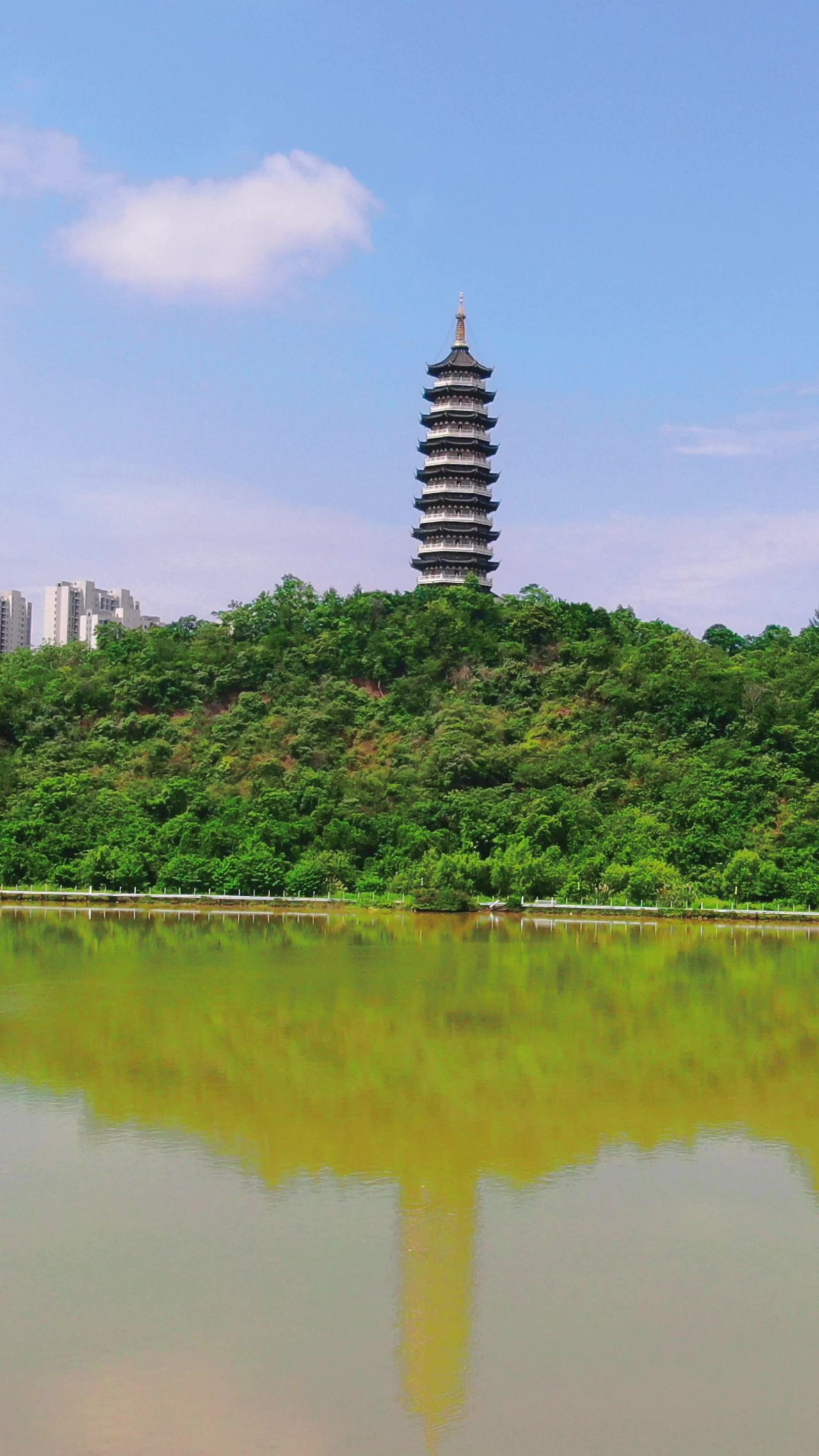 江西赣州翠浪塔地标建筑竖屏航拍 (