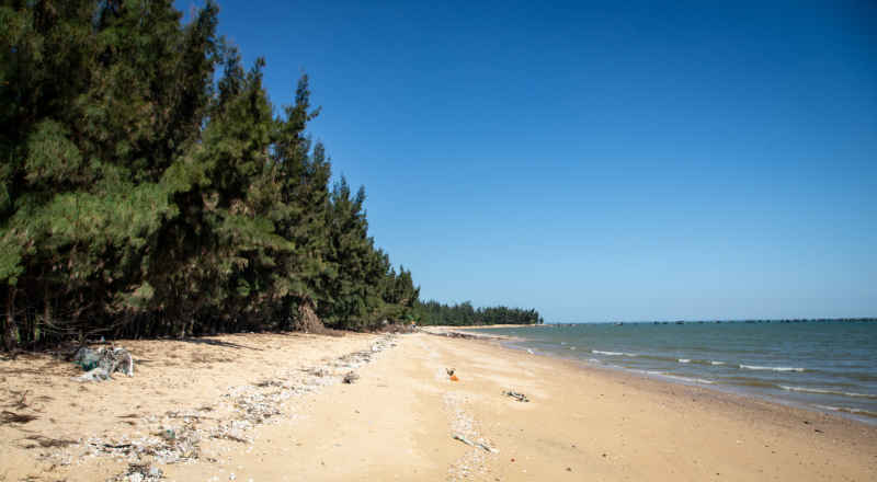 海洋