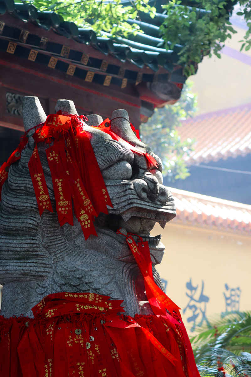 《寄托》