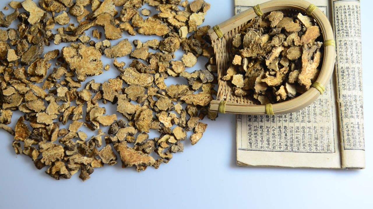 中药材苍术 11