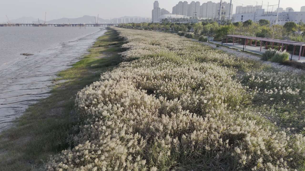 江边公园 9