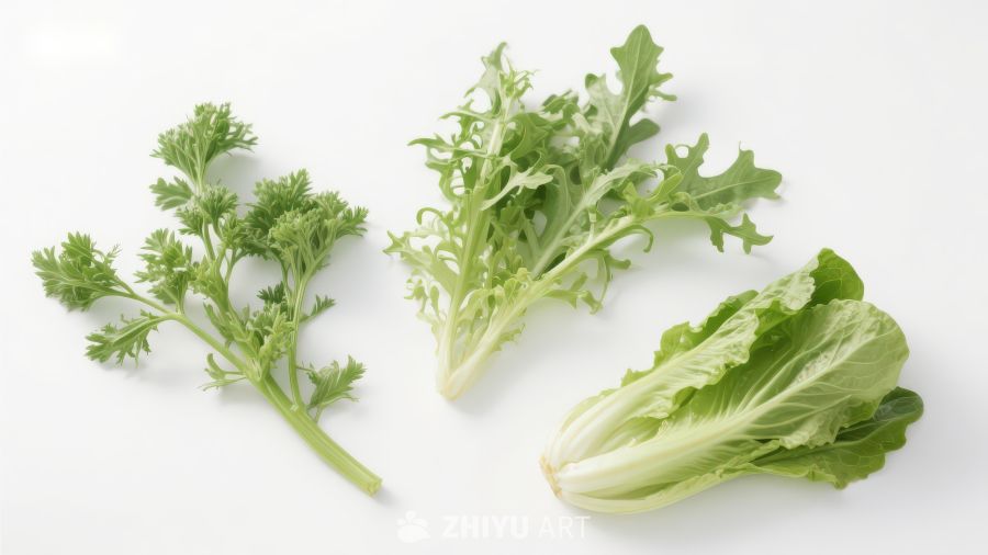 三种绿色叶菜特写