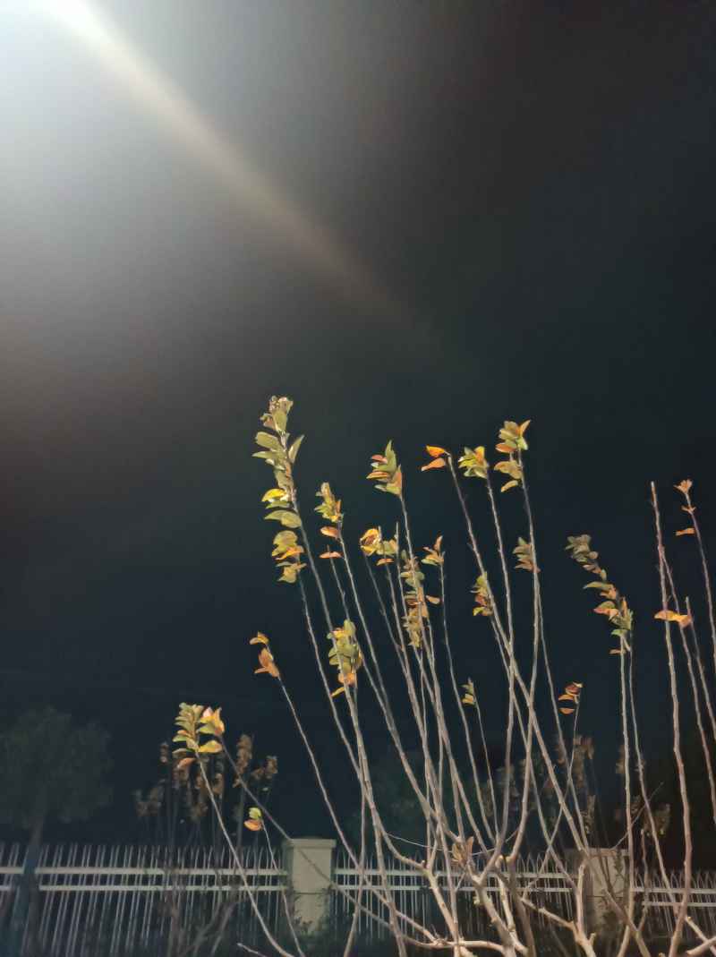 向着光