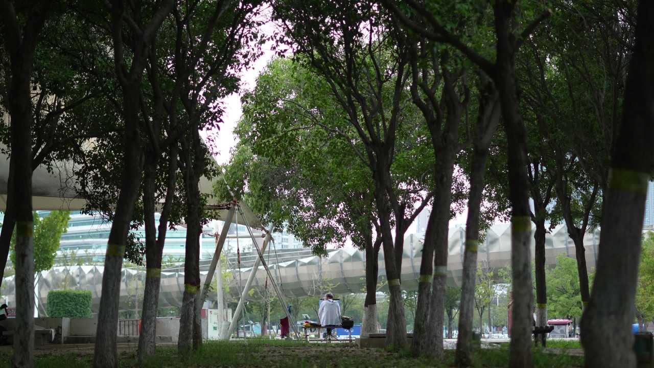 【实拍样片】索尼A6700-4K相机实拍原片视频 1