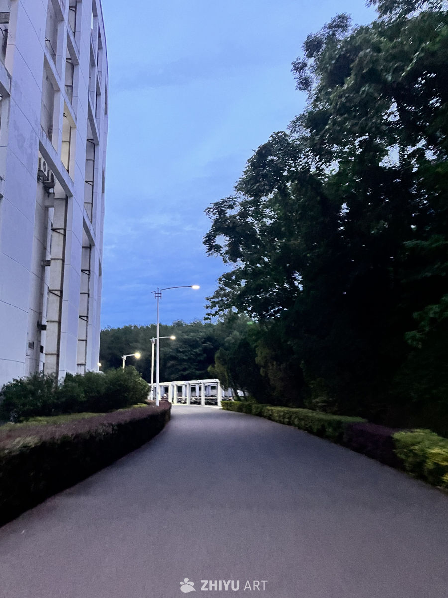 夜幕下的城市小径
