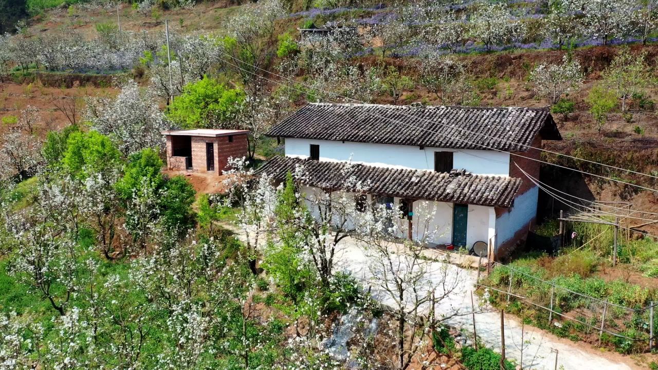 春日乡村小屋