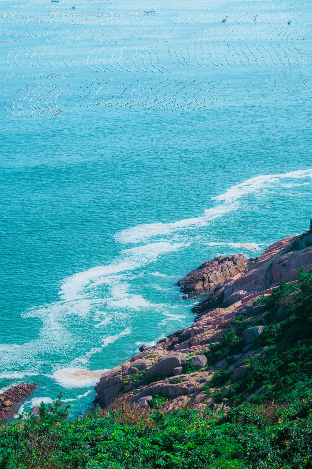 大海