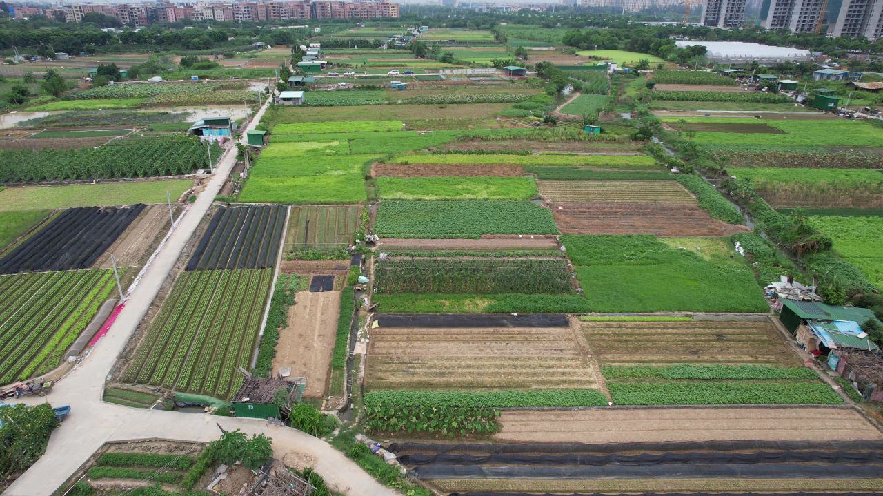 城郊农业基地航拍 16