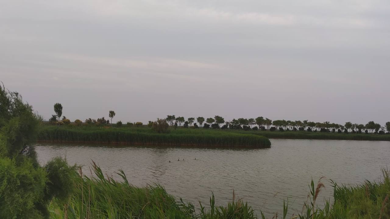 湿地 22