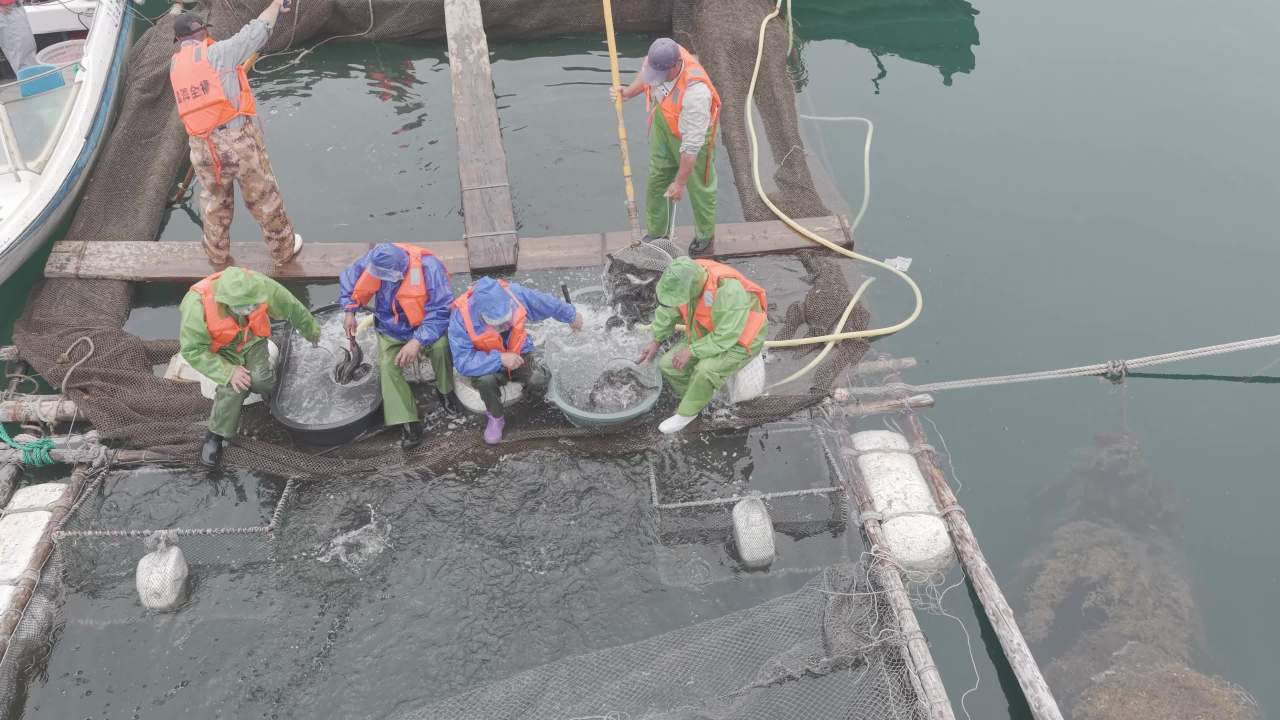 沿海渔村水产养殖与网箱作业