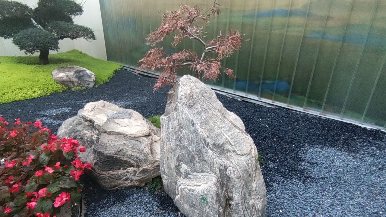 风景