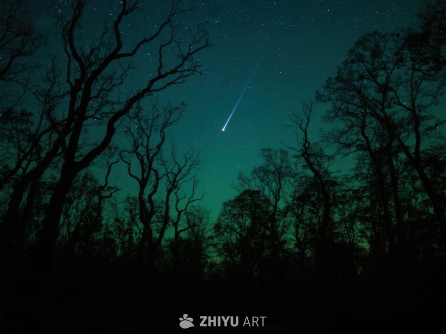 夜空流星划过树林剪影 273
